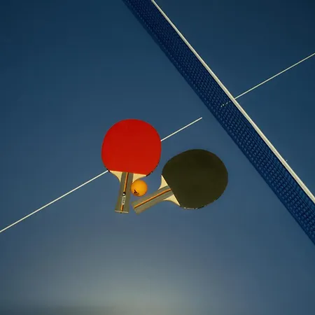 Séjour chez l'habitant Cozy With Terrace, Ping Pong & Billiard Table *